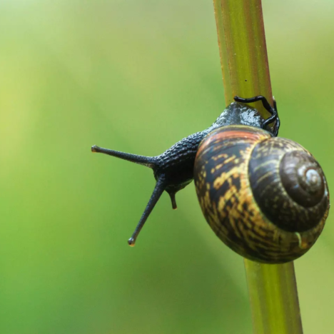 UIMAREITA -ONHAN MEITÄ