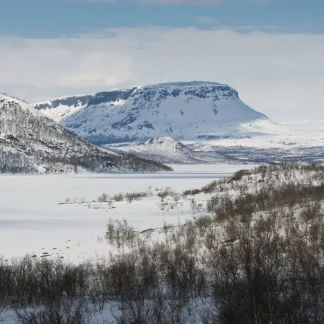NIIN OHUESTI ENÄÄ IHMINEN